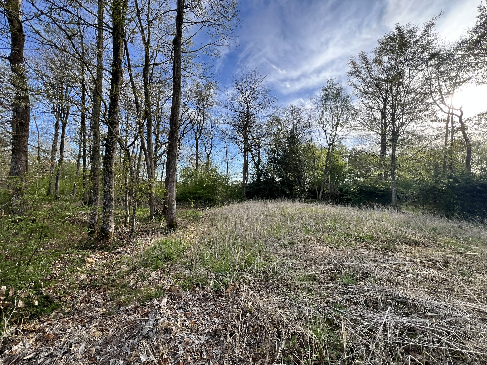 Agence immobilière de DELTA IMMO